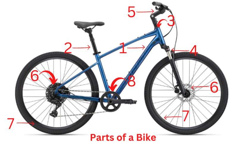 Important Parts of a Bike