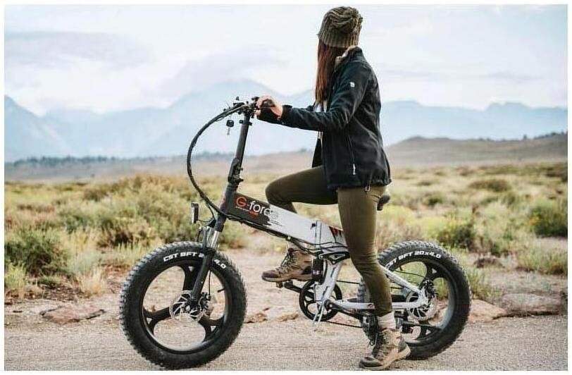 Pedal Assist Electric Bicycle