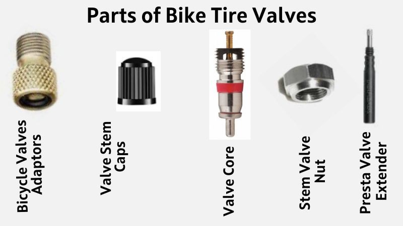 Discover the Benefits of Choosing the Right Types of Bike Tire Valves ...